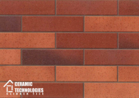 Клинкерная плитка ТМ Сeramic Technologies - Development Series (артикул - CTNDS-G62401, поверхность - Гладкая) - Керамические Технологии - Официальный импортер клинкерной плитки