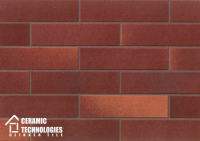 Клинкерная плитка ТМ Сeramic Technologies - Development Series (артикул - CTNDS-G62402, поверхность - Гладкая) - Керамические Технологии - Официальный импортер клинкерной плитки