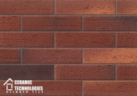Клинкерная плитка ТМ Сeramic Technologies - Development Series (артикул - CTNDS-OT62410, поверхность - Old Town) - Керамические Технологии - Официальный импортер клинкерной плитки