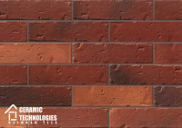 Клинкерная плитка ТМ Сeramic Technologies - Development Series (артикул - CTNDS-R62406, поверхность - Рустика) - Керамические Технологии - Официальный импортер клинкерной плитки
