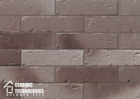 Клинкерная плитка ТМ Сeramic Technologies - Development Series (артикул - CTNDS-R62408, поверхность - Рустика) - Керамические Технологии - Официальный импортер клинкерной плитки