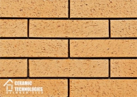 Сeramic Technologies (артикул - CTL2331S, поверхность - Состаренная) - Керамические Технологии
