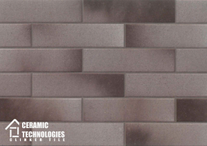 Клинкерная плитка ТМ Сeramic Technologies - Development Series (артикул - CTNDS-G62404, поверхность - Гладкая) - Керамические Технологии - Официальный импортер клинкерной плитки