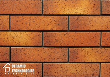Сeramic Technologies (артикул - CTL2380S, поверхность - Состаренная) - Керамические Технологии